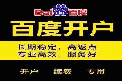 百度竞价账户管理攻略：实战案例与技巧分享
