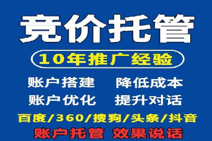 专业竞价SEM托管成功案例解析